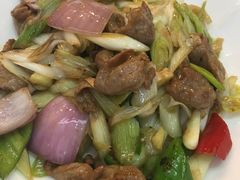 -张记旺角食街(动物园店)
