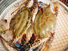 -海味当家·蒸锅海鲜(星海公园店)
