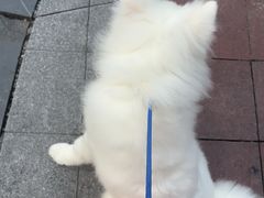 -谐和贝康宠物医院24小时·宠保定点(急重症转诊中心)
