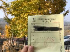 -千年银杏谷文化旅游区
