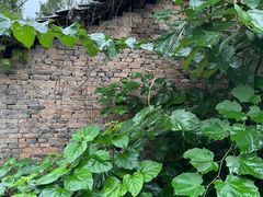 -中国天府农业博览园