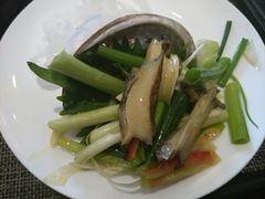 -中苑海韵