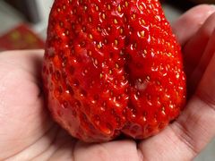 -喜茶(佛山顺德大良东乐路店)