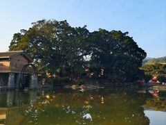 -云水谣景区