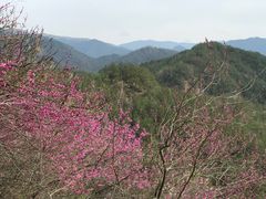 -天台山赤城山景区