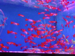 -西宁市人民公园(城西区)