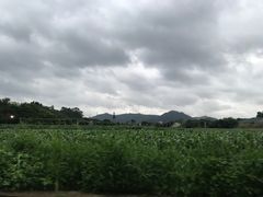 -光明小镇欢乐田园
