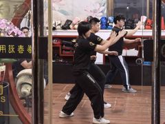 -温鉴良实用咏春拳