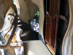 -疯狂屋