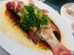 -海儀美食楼(湾仔海鲜街店)