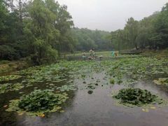 -棒棰岛宾馆景区