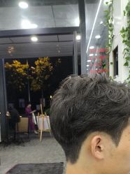 -青霖·飘逸造型