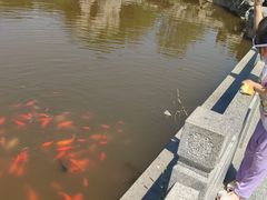 -鬼笑石后山停车场