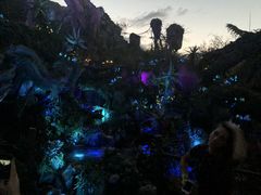 -奥兰多迪士尼动物王国乐园