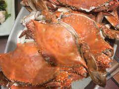 -老胶东家常菜馆(市场一路店)