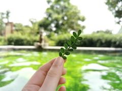 -英德宝晶宫天鹅湖茶语温泉