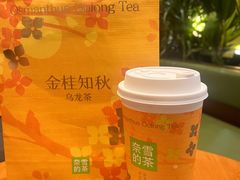 -奈雪的茶(石家庄万象城店)
