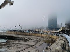 -星海广场
