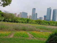 -艾溪湖湿地公园