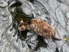 -宝通禅寺