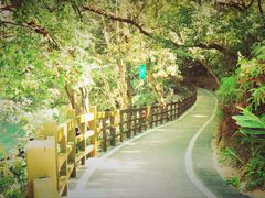 -广州市流溪河国家森林公园