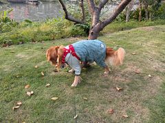 -东钱湖旅游度假区