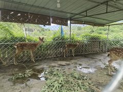 -双新垂钓园
