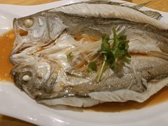 -小六汤包·西安老字号·中华名小吃(高新四路店)