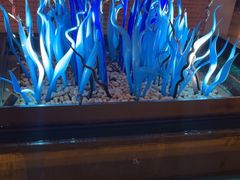 -浅深Cheersum(曹杨店)