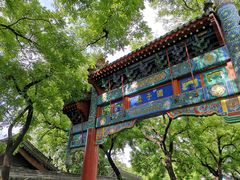 -北京国子监胡同