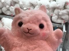 -LLJ夹机占(清河万象汇店)