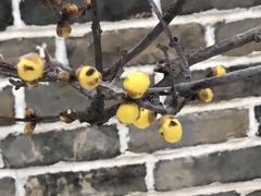 -观唐（国际）度假村温泉