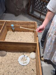 -酷嗒动物文化乐园(cutezoo西溪乐天城店)