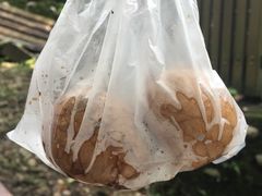 -金盆阿嬷香菇茶叶蛋(玄光店)