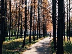 -复旦大学(张江校区)