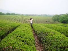 -敬亭山风景名胜区