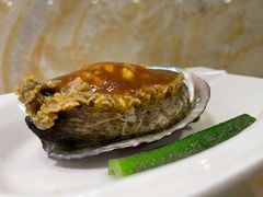 浇汁四头鲍-荣祥海鲜·烟台菜(胜利路二部)
