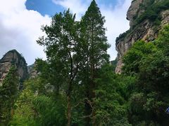 -雁荡山风景名胜区-小龙湫