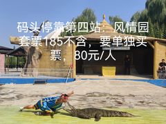 -白洋淀风景区