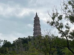-顺峰山公园