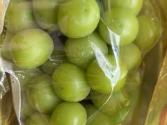 -马陆小张葡萄园农家乐