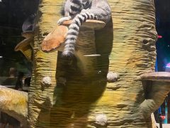 -绿色星球动物主题公园