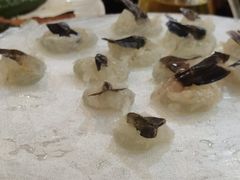 -荔城生鲜盛宴(番禺旗舰店)