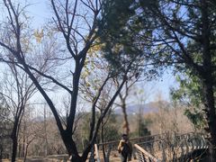 -白水寺森林公园