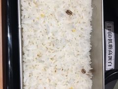 -蛙人战队·饭堂(储能大厦店)