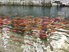 -水磨沟公园