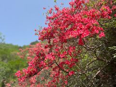 -木兰云雾山