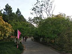 -佛慧山