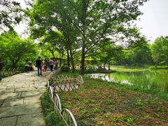 -西溪国家湿地公园