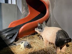 -E+有冰工厂·昆仑寒宫2(五角场店)